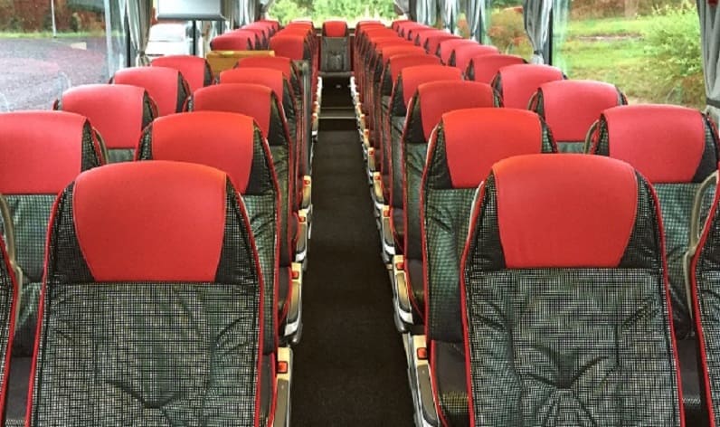 Italy: Coaches rent in Emilia-Romagna in Emilia-Romagna and Carpi